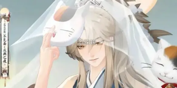 阴阳师不见岳庆典之夜皮肤价格